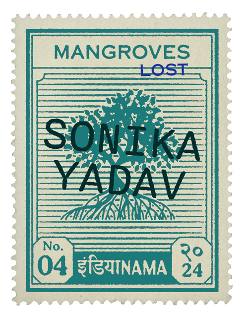 Mangroves